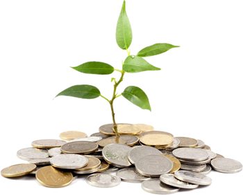 کسب-درآمد-اینترنتی-همکاری-در-فروش-پارس-گرین