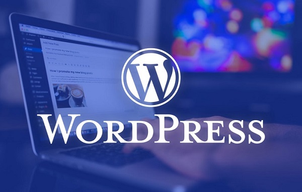wordpress-email