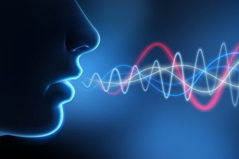 صدای-انسان-the-human-voice